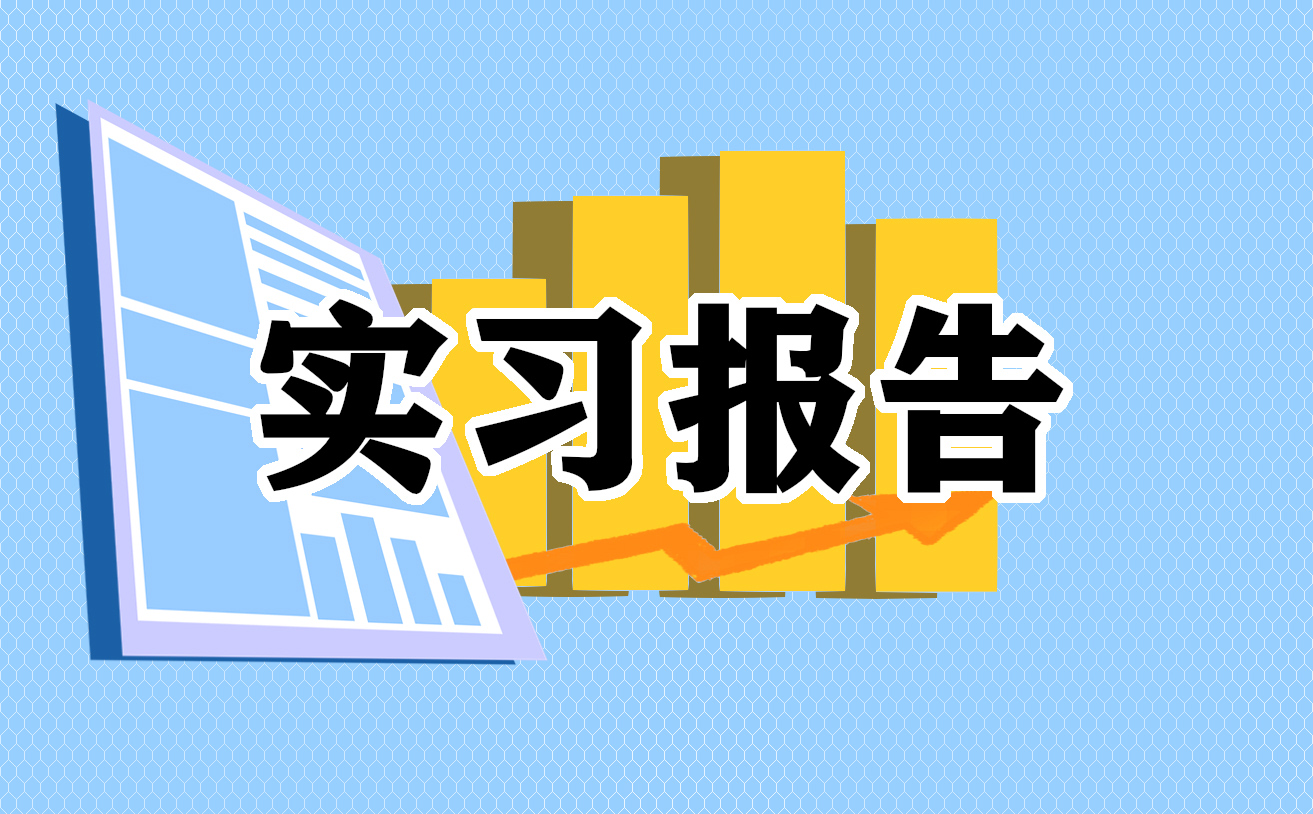 2024审计专业个人实习报告5篇